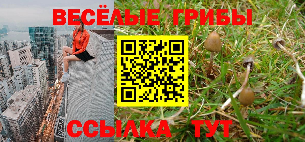 Раменское  Галлюциногенные грибы мицелий  Вход с VPN 